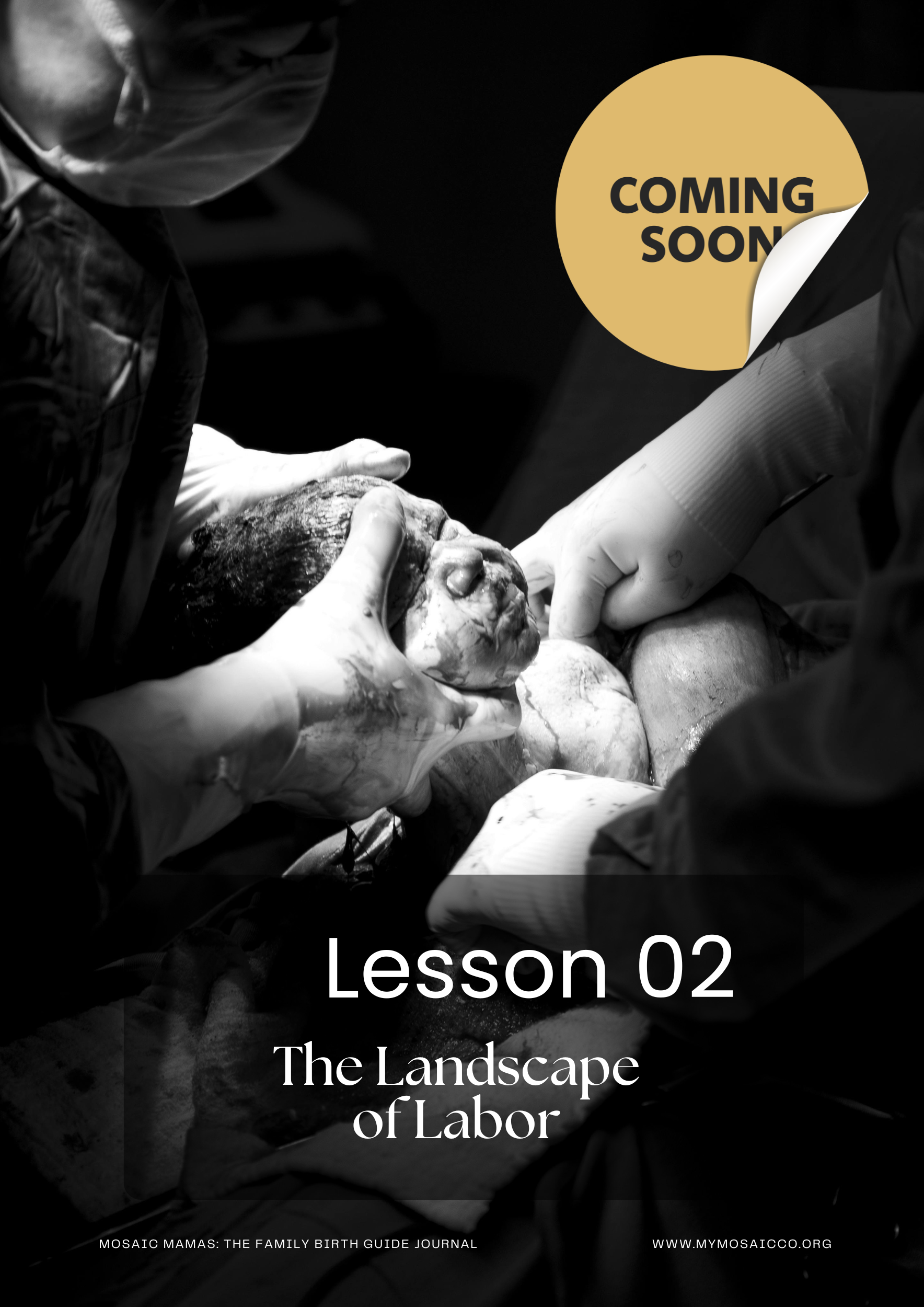 Mosaic Mamas  Family Birth Guide Journal Lesson Two.png