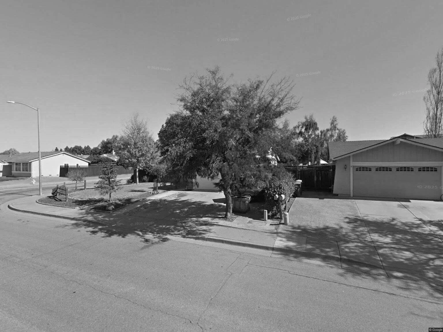 A suburban residential street with a large tree in front of a house, showing a driveway, yard, and neighboring houses, captured in black and white.