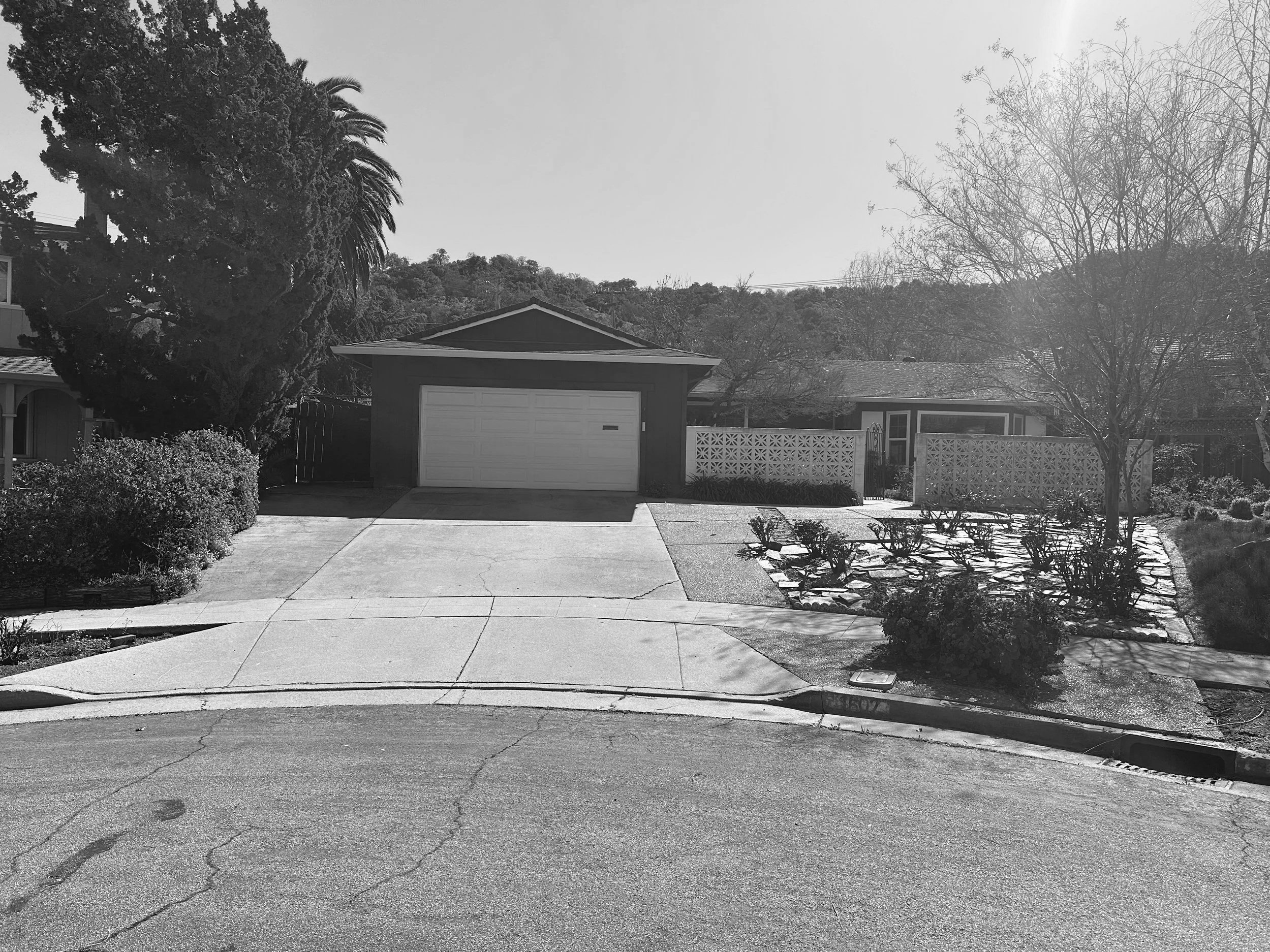 Black and white photo of a house with a driveway, garage, trees, and bushes in the yard.