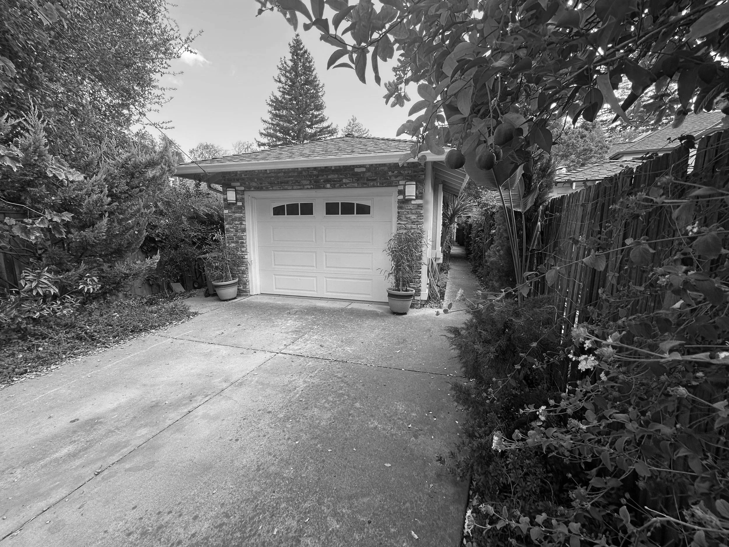 A black-and-white photograph of a residential driveway leading to a garage with a white door. There are potted plants on either side of the garage door, surrounded by trees and bushes, with a narrow pathway along the right side.