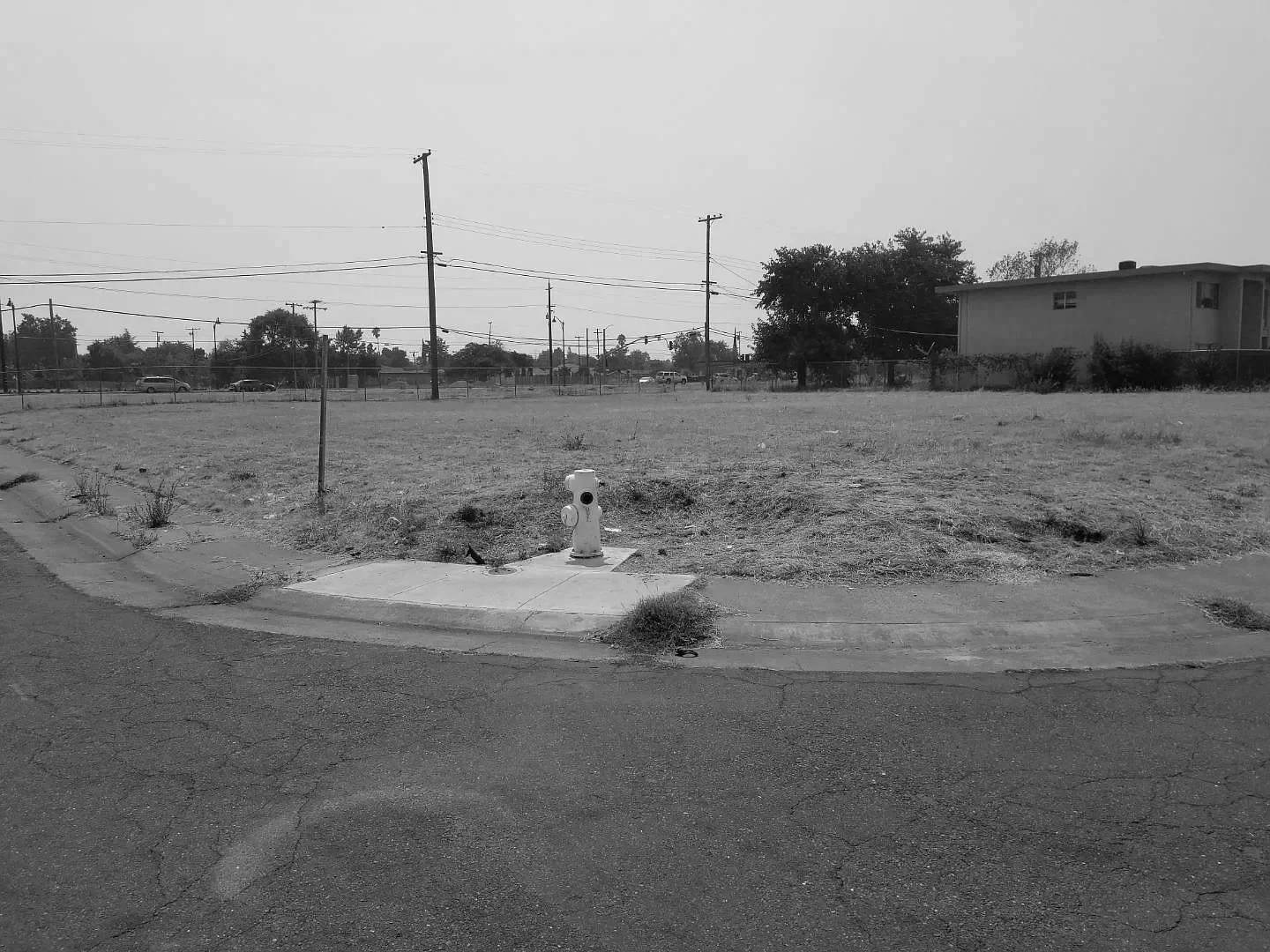 A black and white photo of a vacant lot with a fire hydrant at the corner of a sidewalk, surrounded by a grassy area, with several utility poles and power lines in the background.