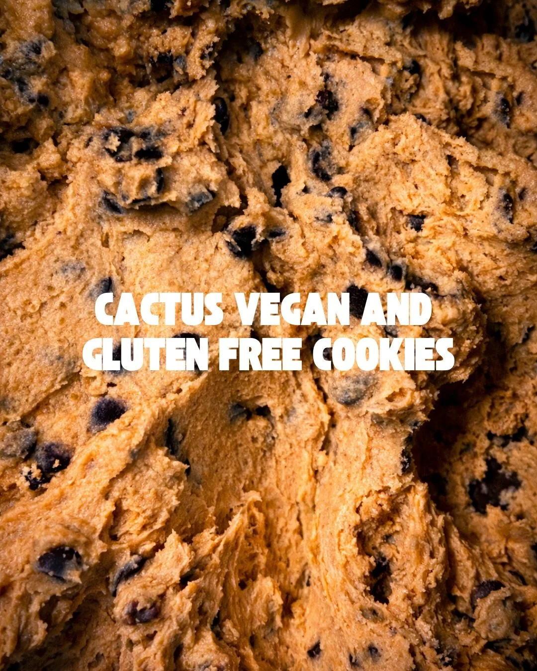 🍪
&bull;
&bull;
&bull;
&bull;
&bull;
&bull;
&bull;
#cactus #cactuscarouge #geneve #switzerland #cookies