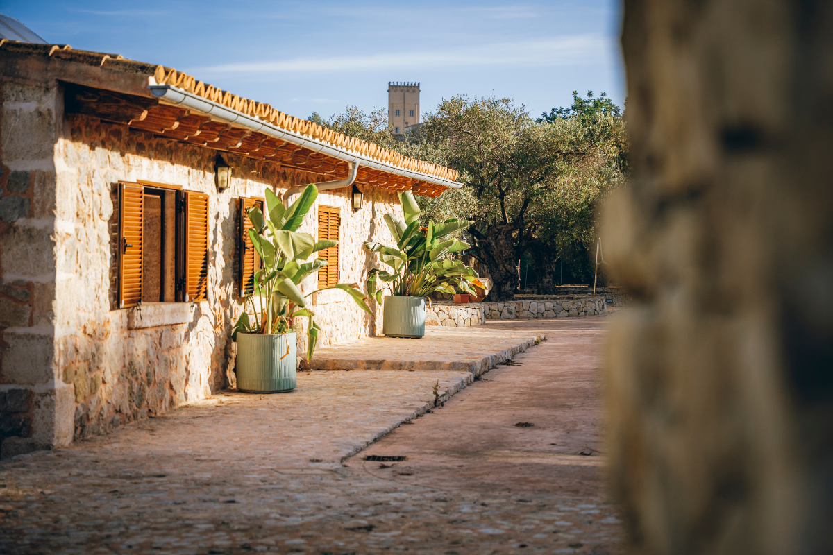 Ein Steinhaus mit braunen Fensterläden und zwei großen Pflanzkübeln mit grünen Pflanzen vor einem gepflasterten Weg. Im Hintergrund ist ein Baum und ein Turm sichtbar.
