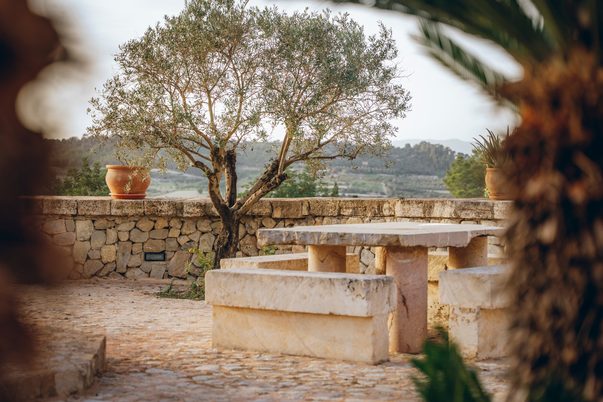 Ein Steintisch mit Bänken in einem Garten, im Hintergrund ein Olivenbaum, eine Hutförde und eine Mauer aus Steinen, bei Sonnenuntergang.