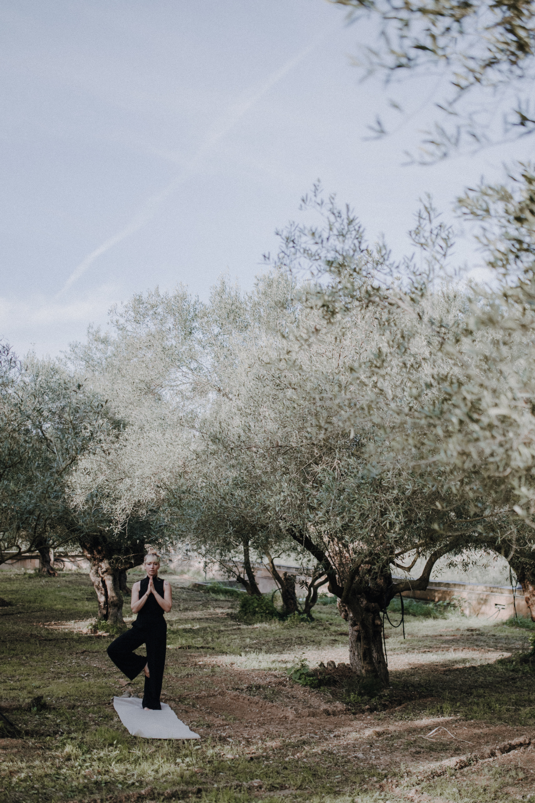 Eine Frau macht Yoga auf einer Matte in einem Olivenhain bei Sonnenlicht.