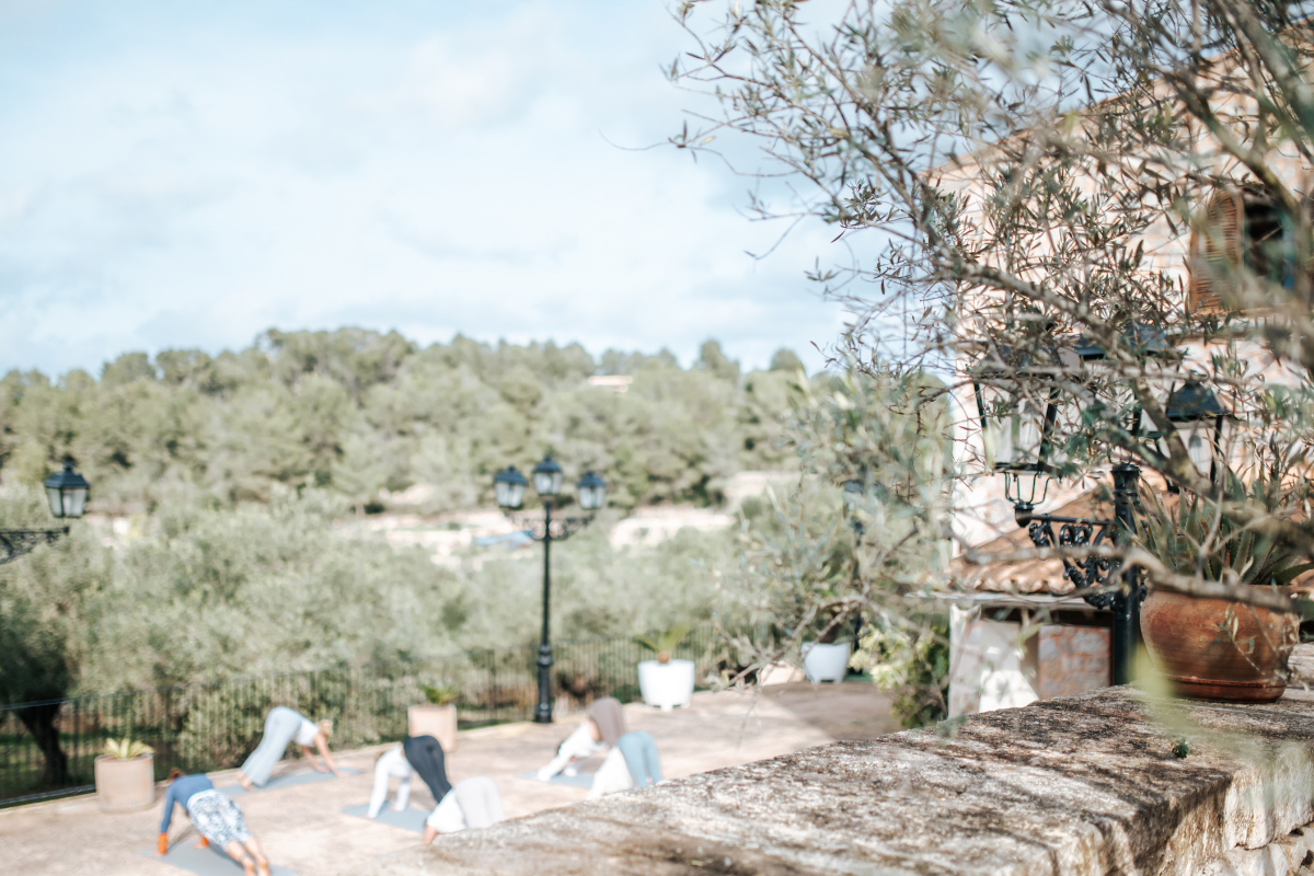 Menschen bei Yogaübungen im Freien auf einer Terrasse, umgeben von Pflanzen und Lampen, mit Wald im Hintergrund.