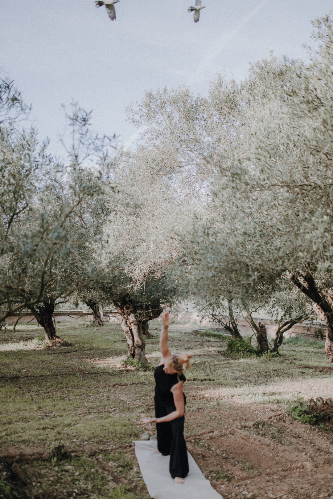Eine Frau führt Yoga in einem Garten mit Olivenbäumen durch.