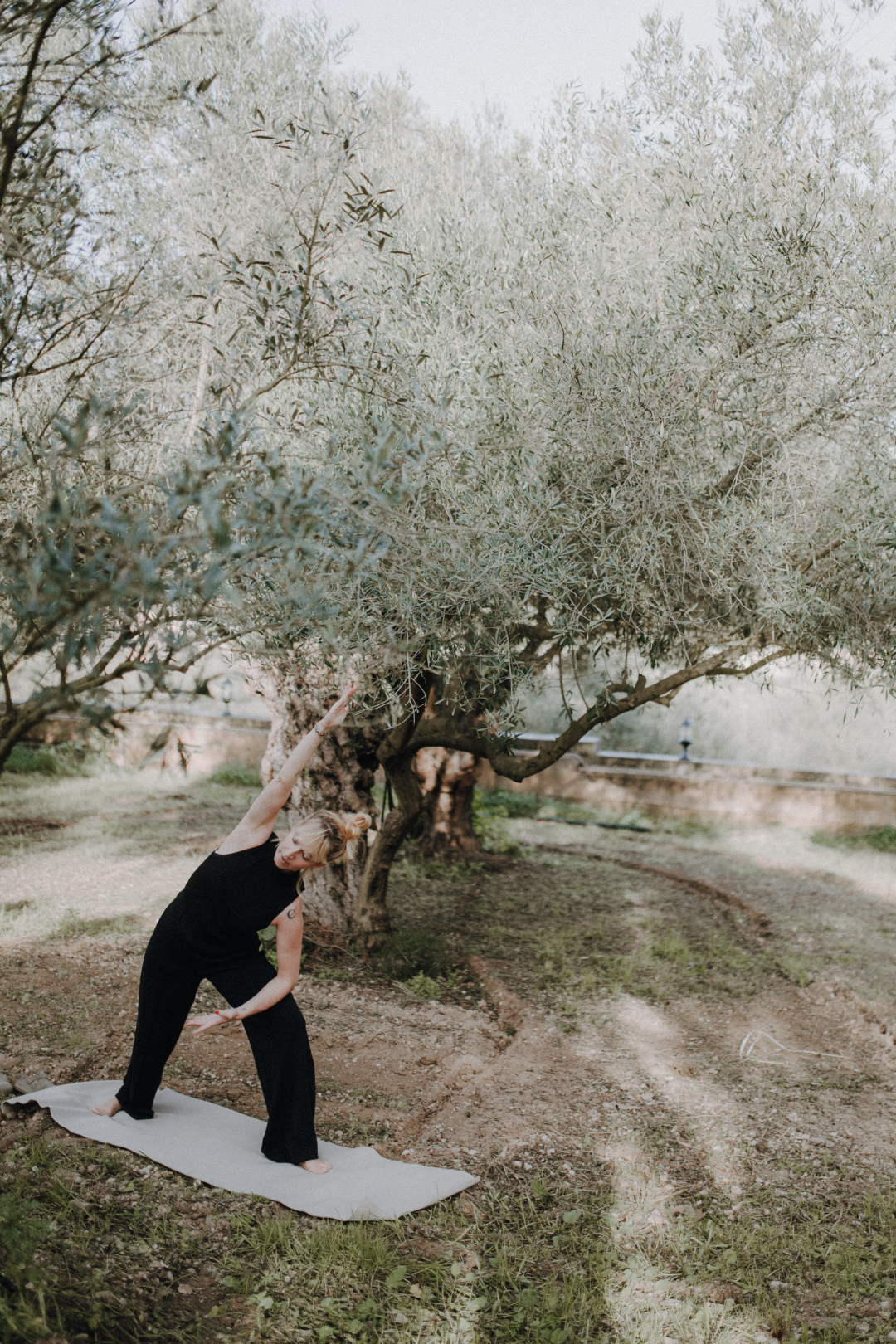 Frau macht Yoga unter einem Olivenbaum im Freien