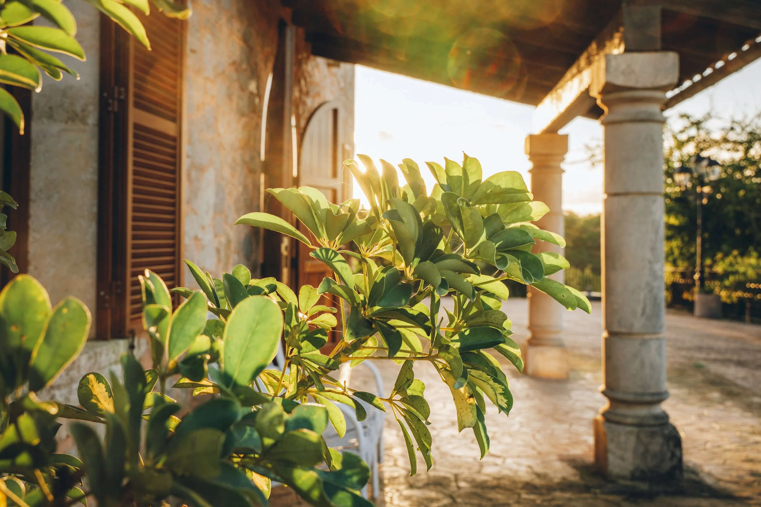 Sonnenuntergang auf einer Veranda mit grünen Pflanzen, alte Steinsäulen und Holztüren an einer Hauswand im Hintergrund