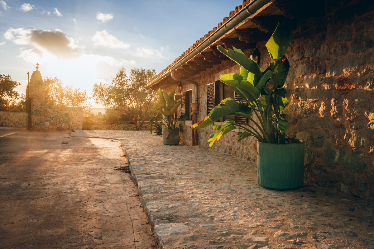 Sonnenuntergang über einer Steinmauer mit Pappeln und einer Steinhütte, mit großen Topfpflanzen neben einer Hauswand.