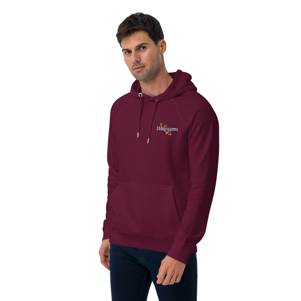 unisex-eco-raglan-hoodie-burgundy-left-front-69109d62c3152.png