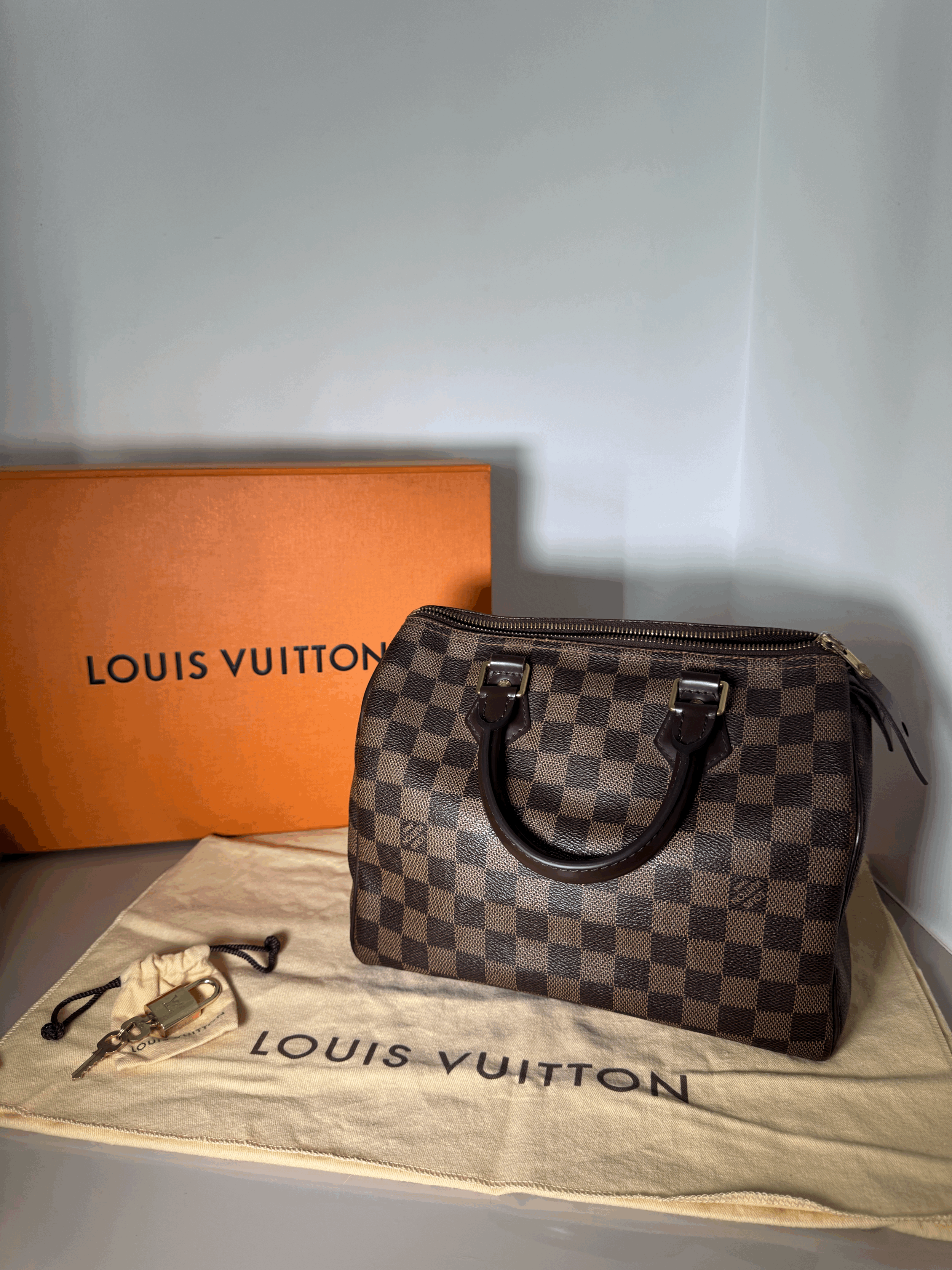 Louis Vuitton Speedy 25 in Damier Ebene
