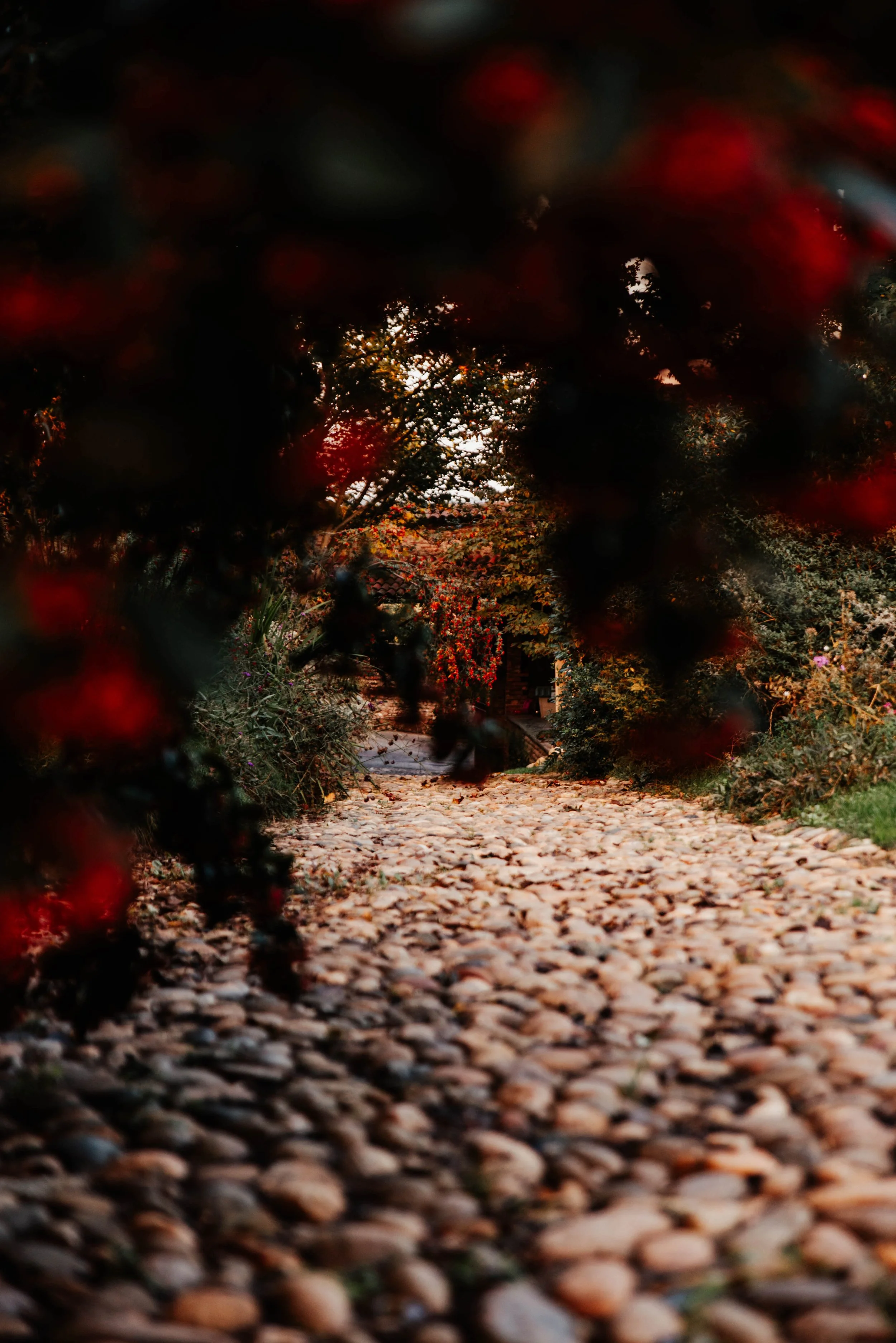 giardino-castello-di-cavagliano.JPG