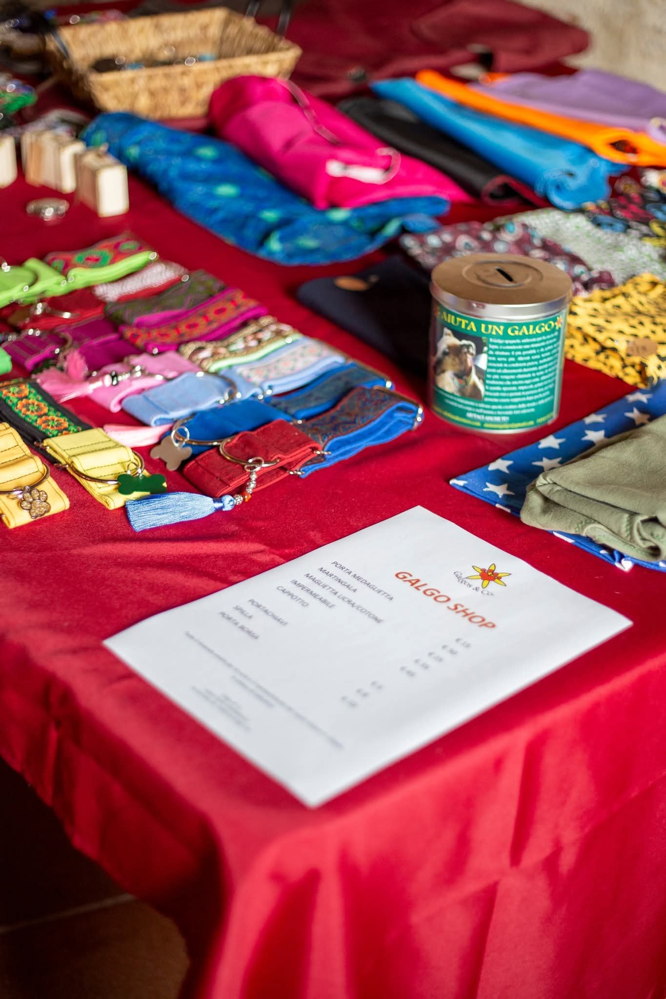 galgos-non-profit-evento-castello-cavagliano.jpg