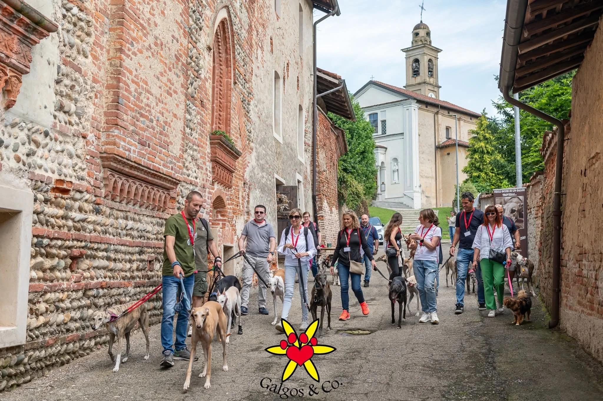 galgos-non-profit-evento-castello-cavagliano.jpg