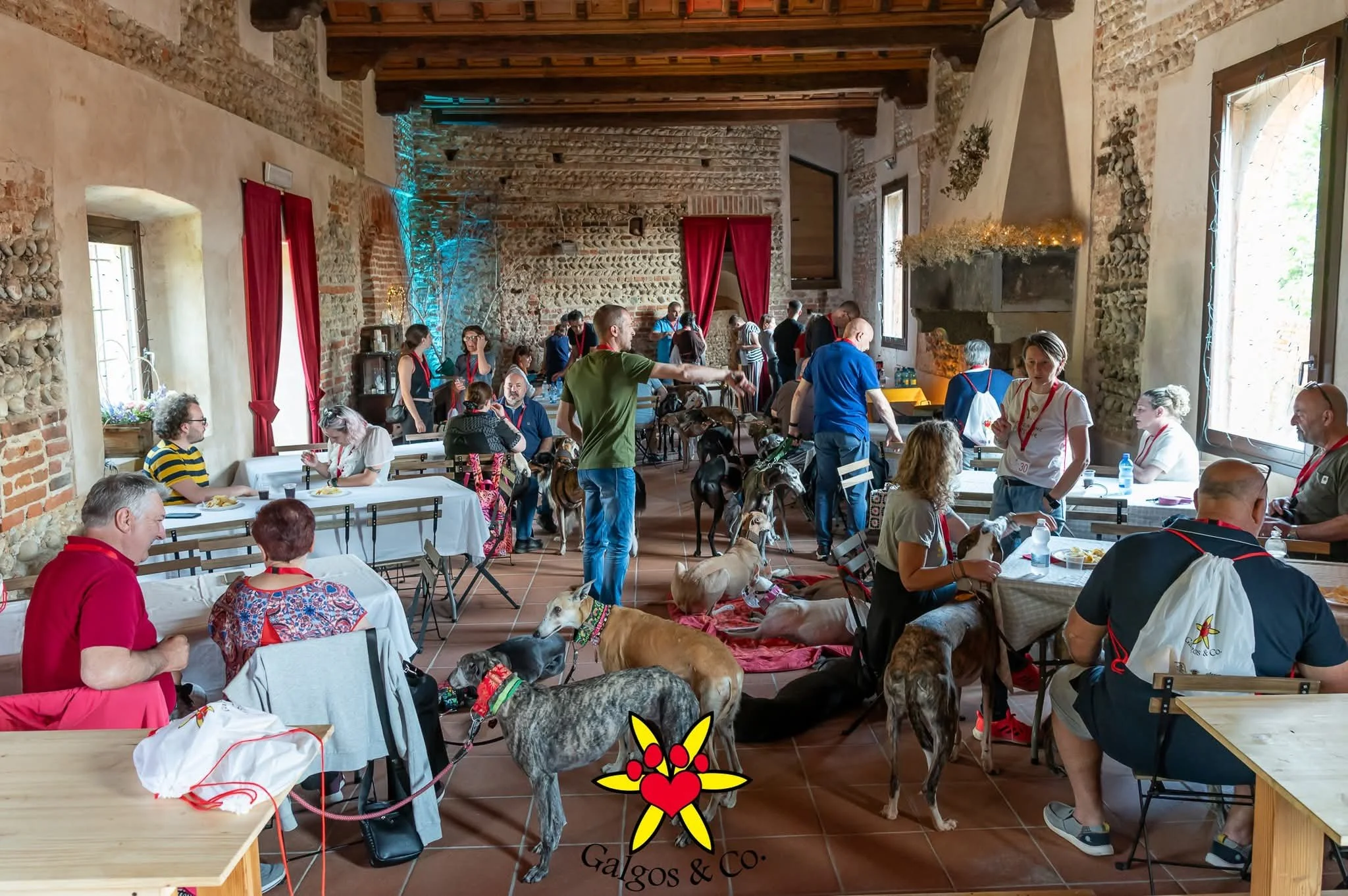 galgos-non-profit-evento-castello-cavagliano.jpg