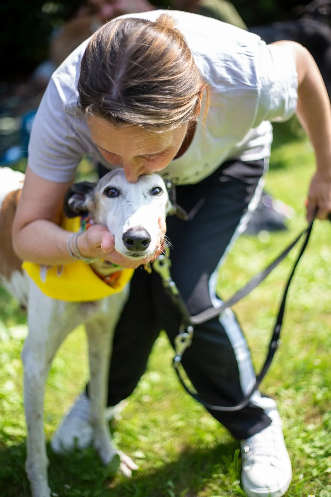 galgos-non-profit-evento-castello-cavagliano.jpg