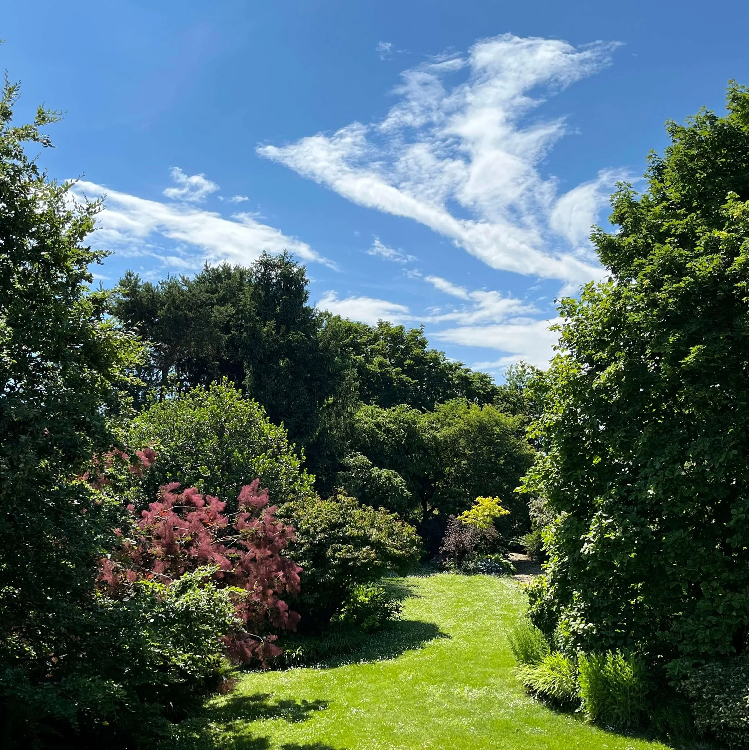 giardino-castello-di-cavagliano.jpg