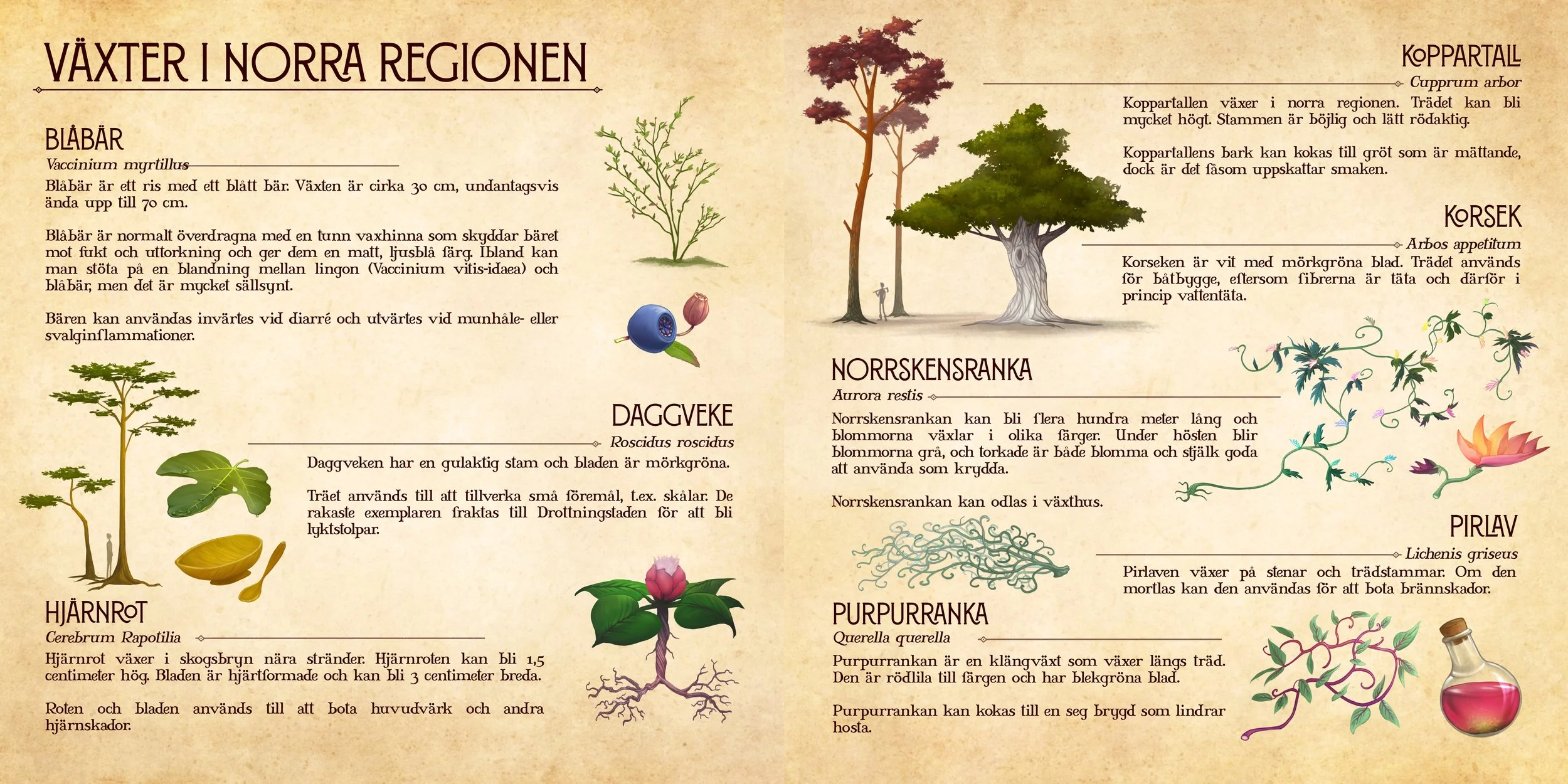 Växter I Norra Regionen.jpg