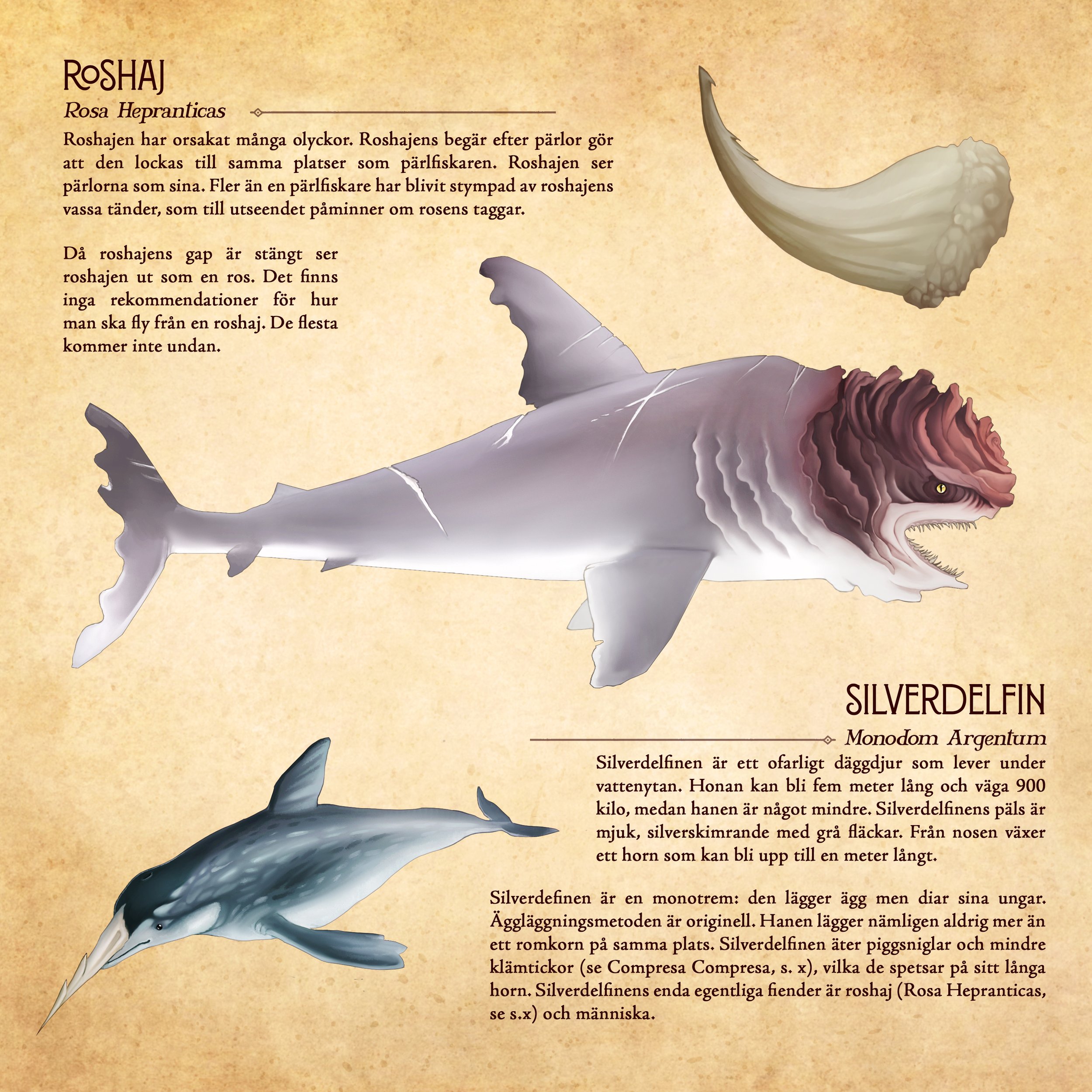 Djur Södra_s3_vitare.jpg