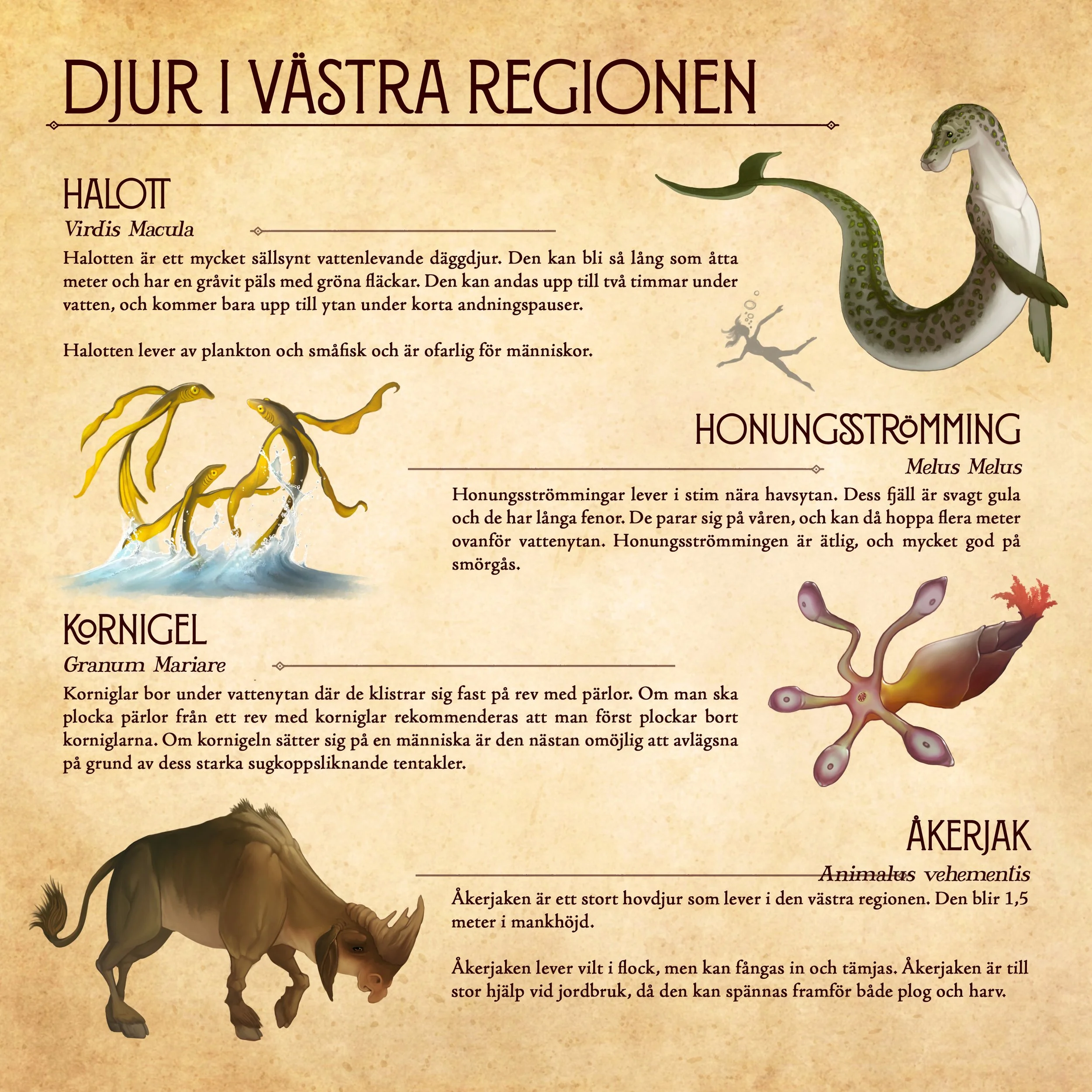 Djur Västra.jpg