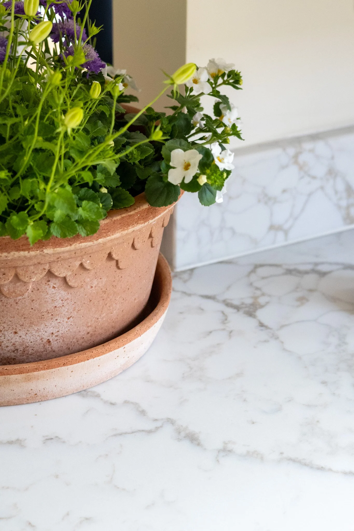 Arabescato Cremo Quartz worktops