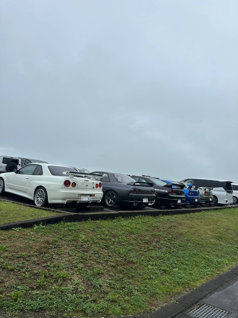 Row of parked sports cars on an overcast day, with a grassy area in the foreground.