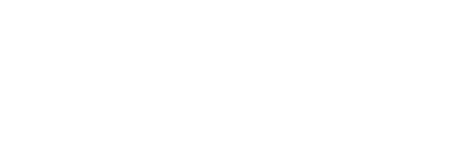 The Hans Hess Foundation