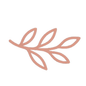 A simple pink line drawing of a branch with six leaves.