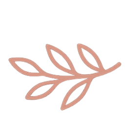 Illustration of a simple, pinkish-brown branch with five leaves.