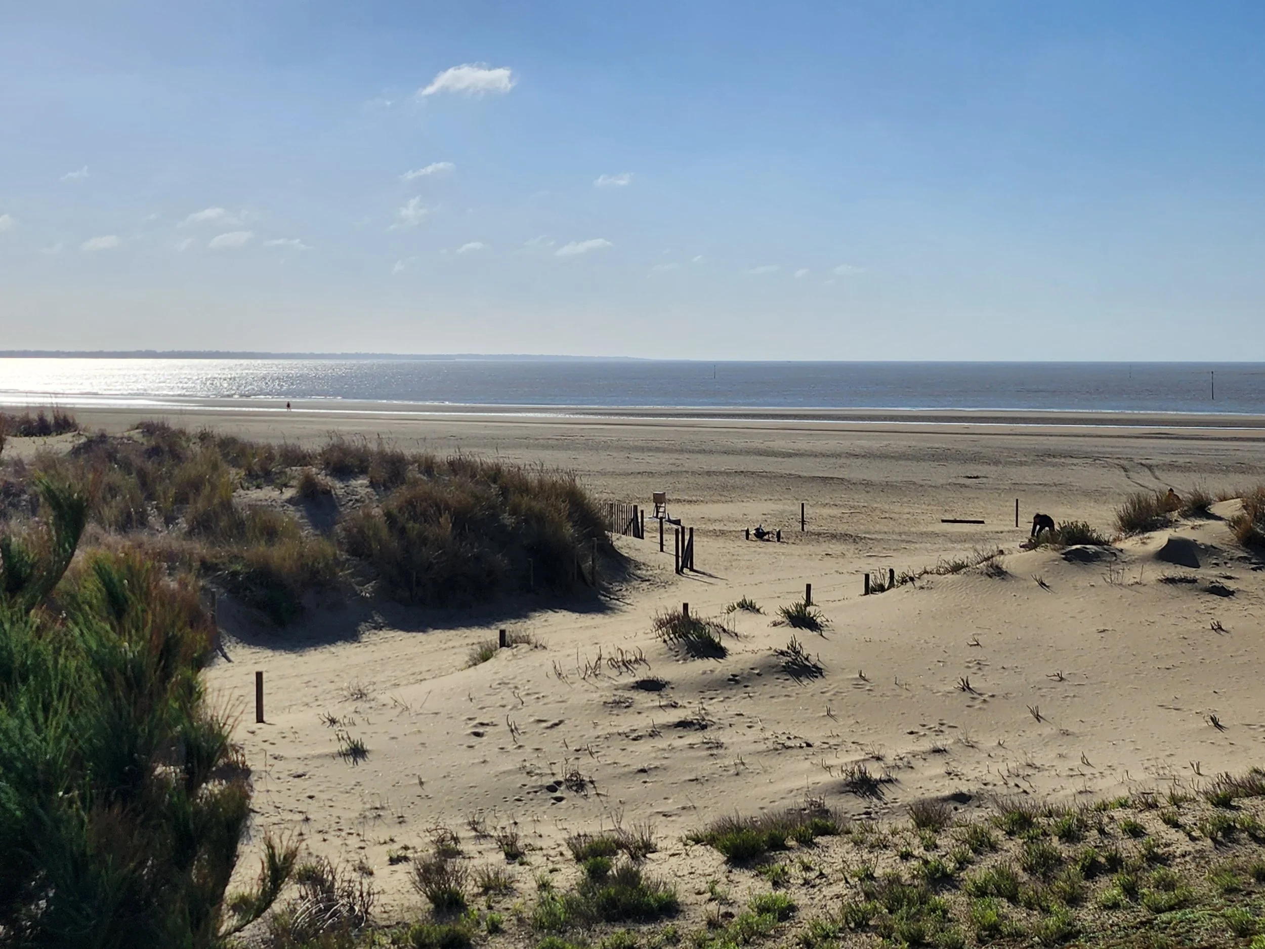 Plage de sable de vacances avec quelques végétations, dunes, et chevaux au loin sous un ciel clair avec quelques nuages et la mer en arrière-plan, en été.