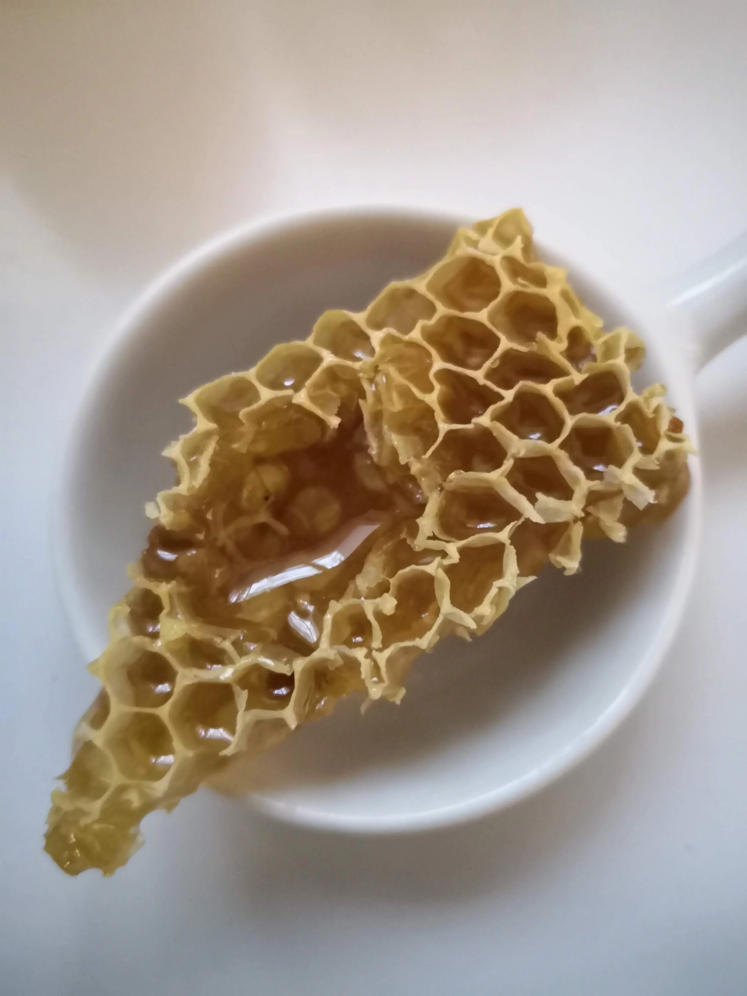 Une tasse blanche contenant une pièce de miel en forme de rayon de miel avec du miel liquide.