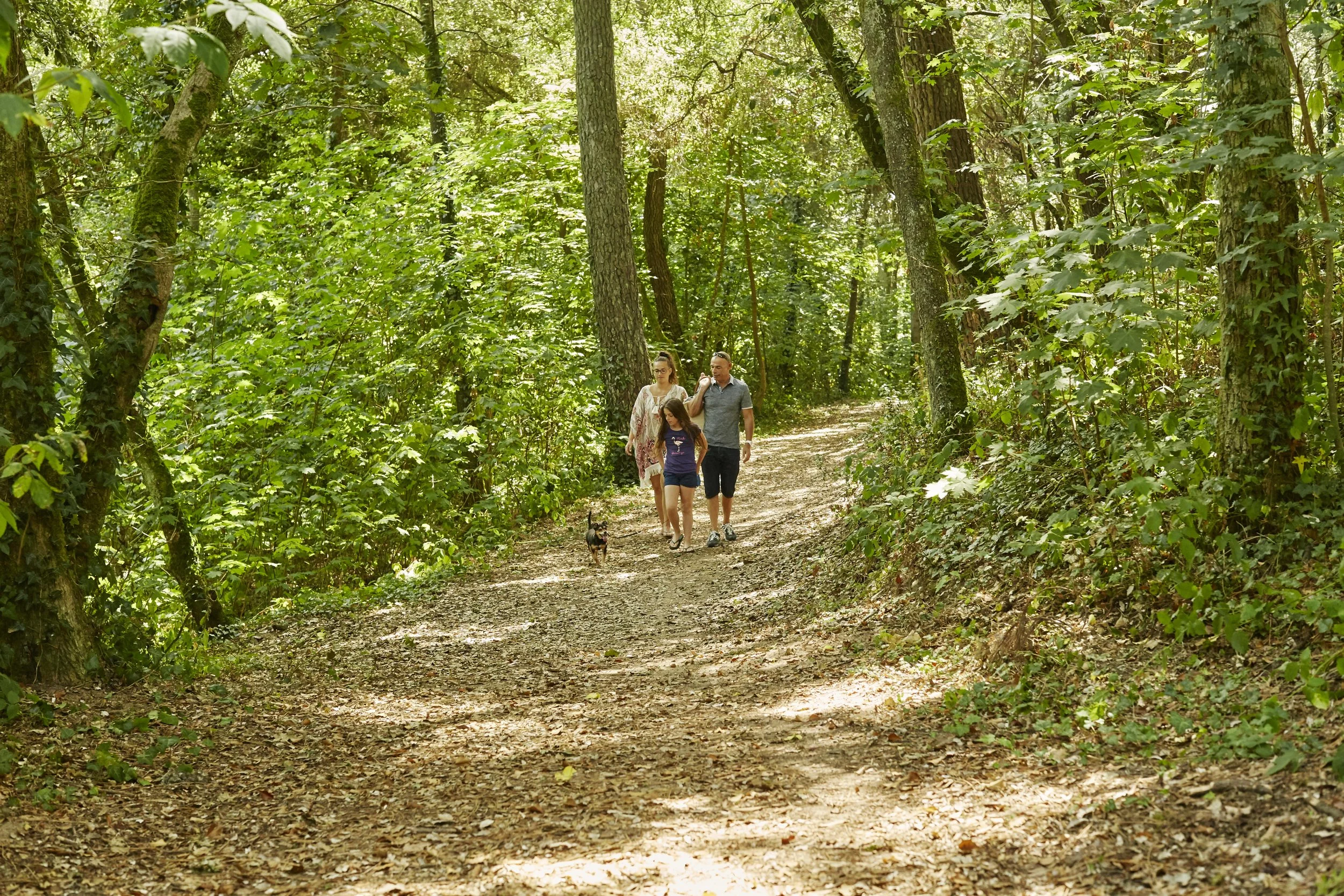 Groupe de trois personnes et un chien qui marchent dans une forêt verdoyante en été.