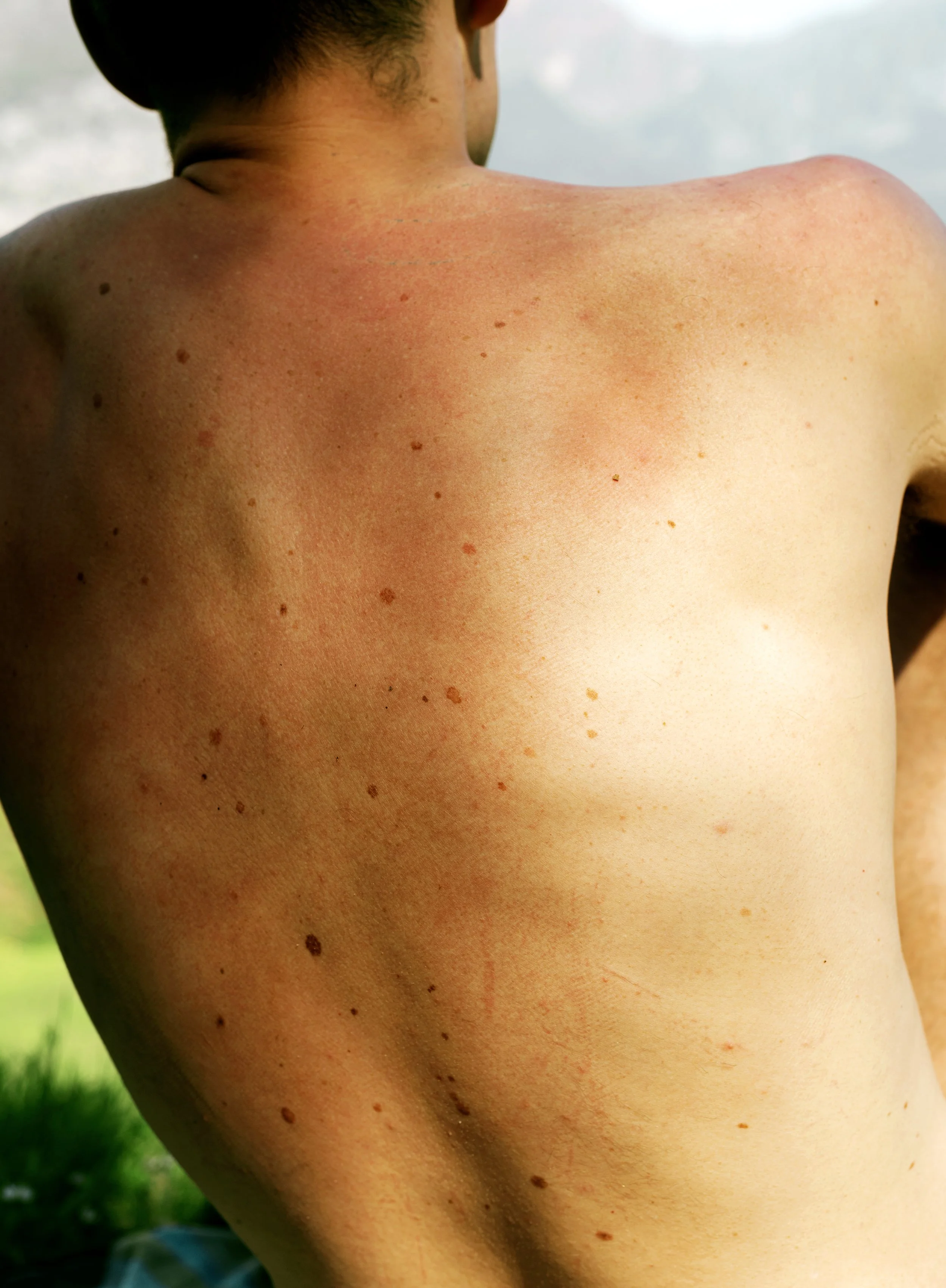 Constellations on a sunny day