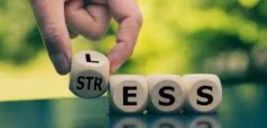 Stress Less: A 6-Week Journey to Calm and Clarity