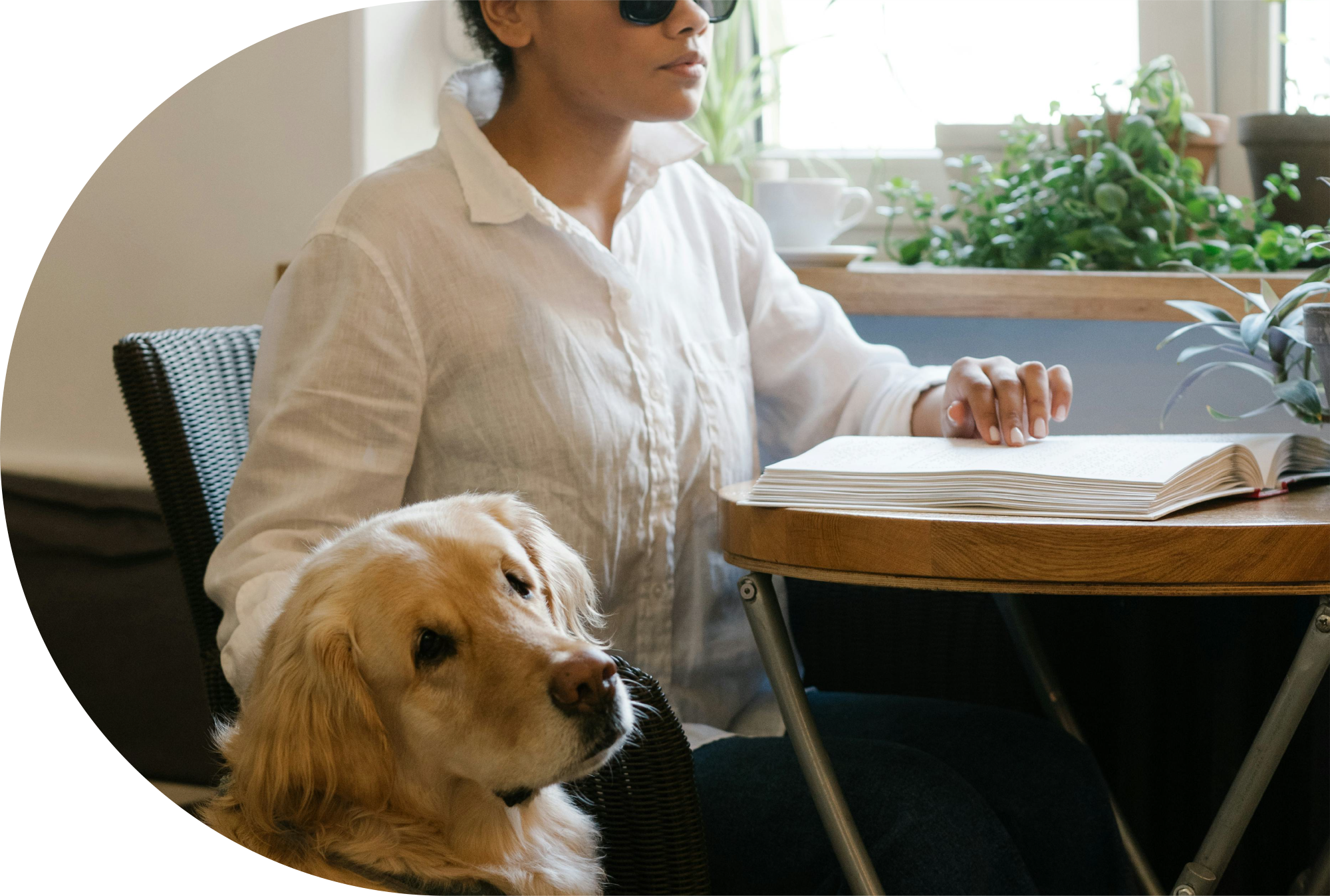 Une personne malvoyante portant une chemise blanche est assise à une table avec un livre ouvert, dans une pièce lumineuse avec des fenêtres et des plantes. Un chien de race golden retriever est assis à côté d'elle.