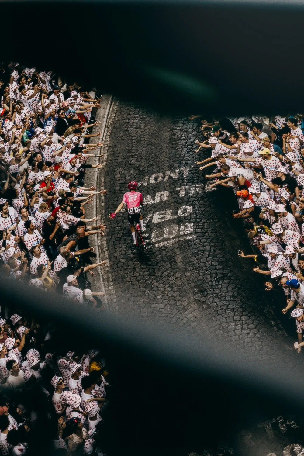 tdf4.jpg