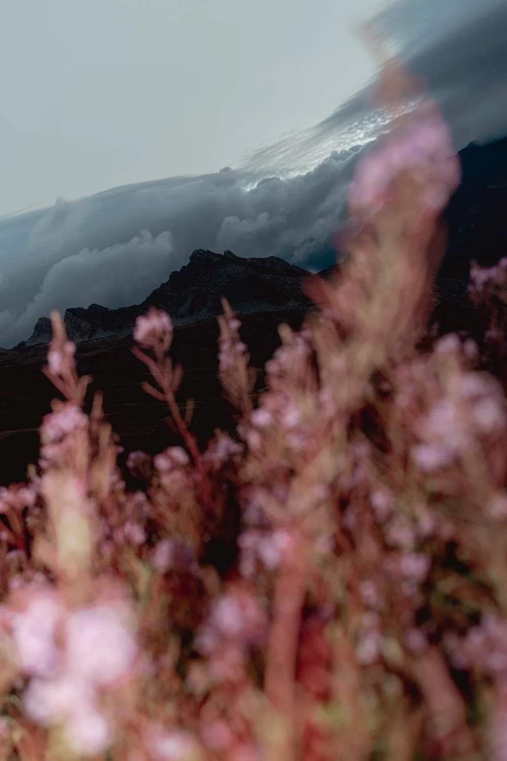 UTMB17.jpg