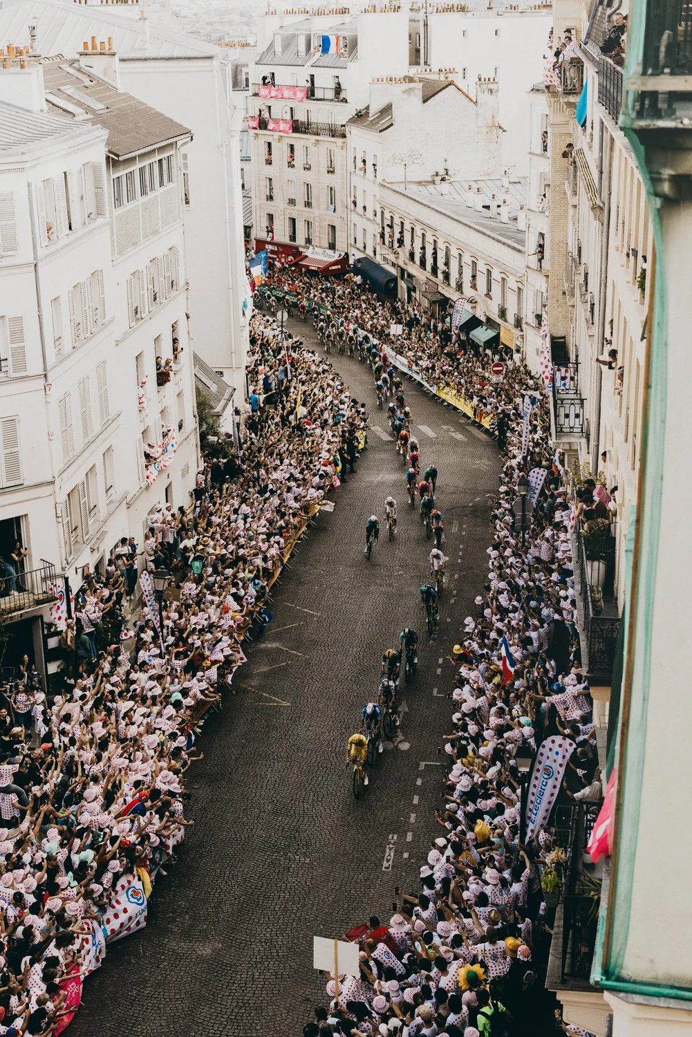 tdf1.jpg