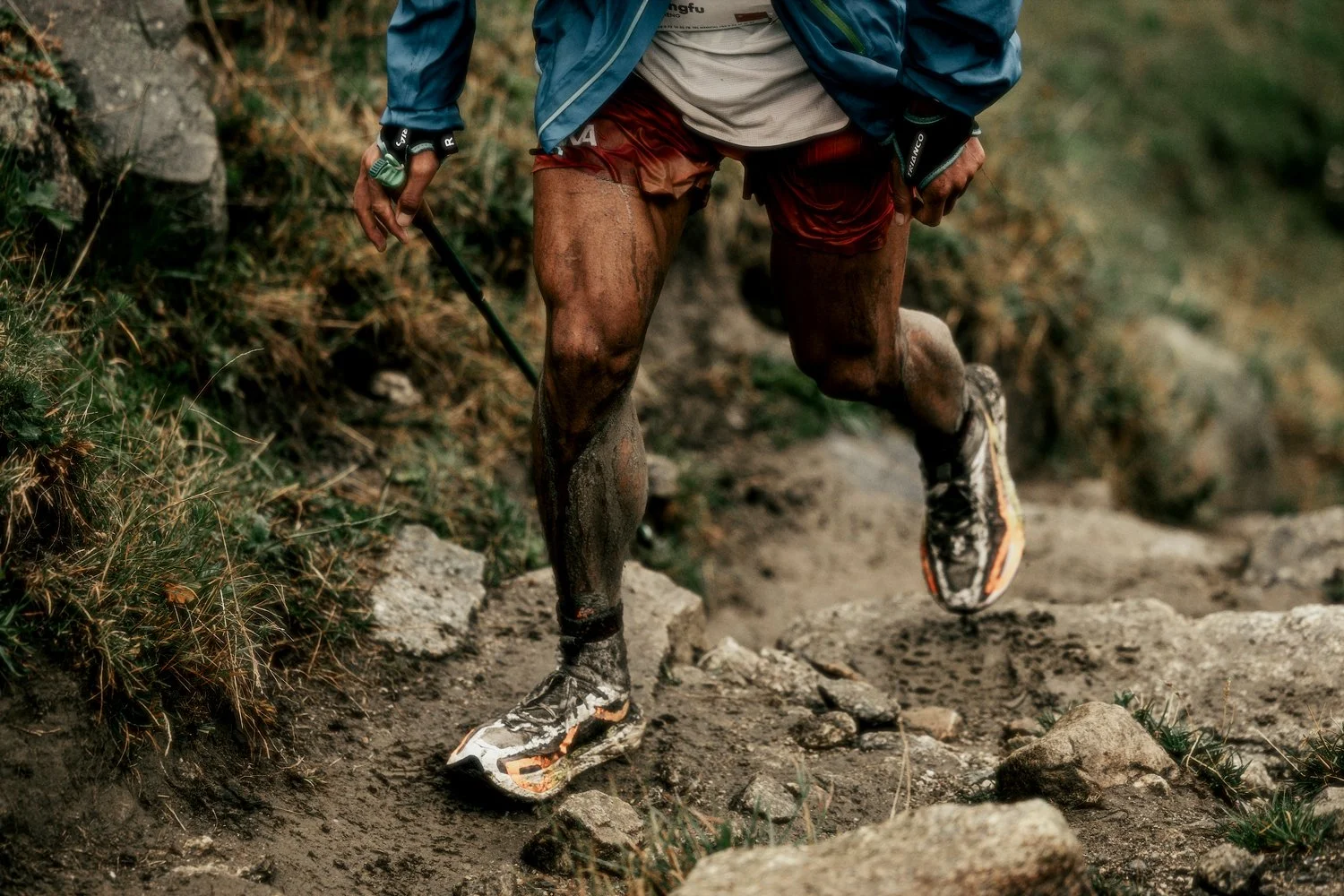 UTMB8.jpg