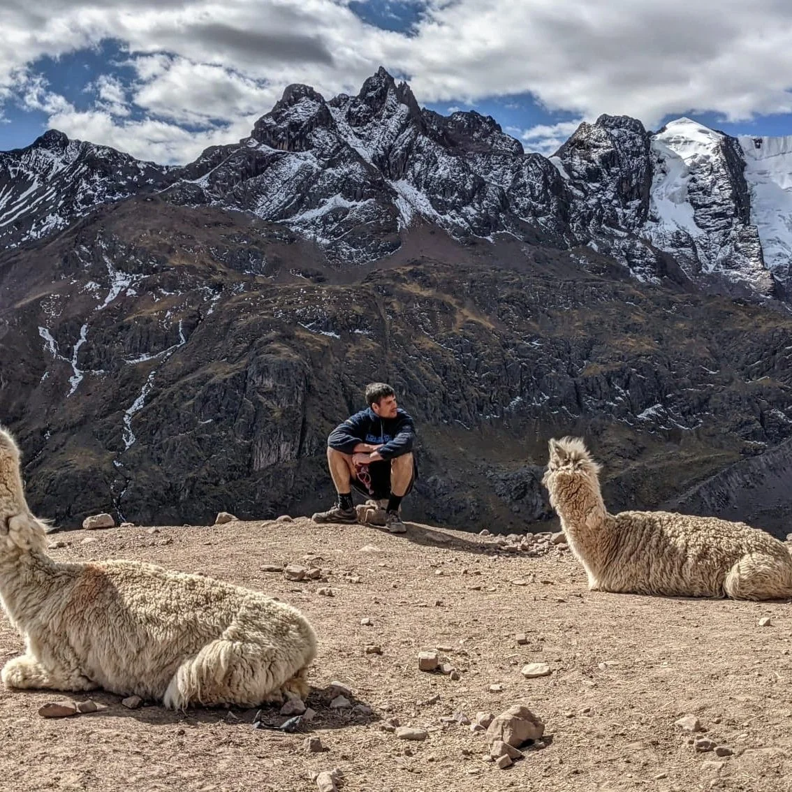 Un homme et deux lamas dans un paysage de montagnes enneigées et rocheuses, ciel partiellement nuageux.