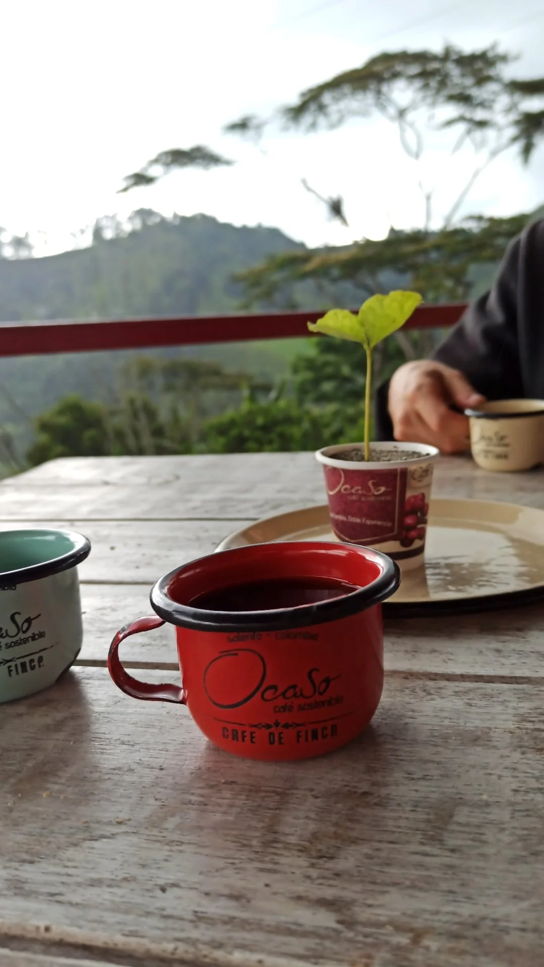 Tasses colorées sur une table en bois, une avec une plante en pot, dans un paysage naturel montagneux en arrière-plan.
