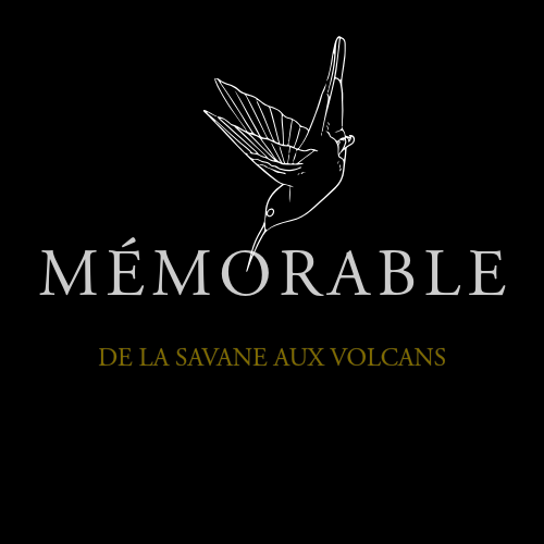 MÉMORABLE 