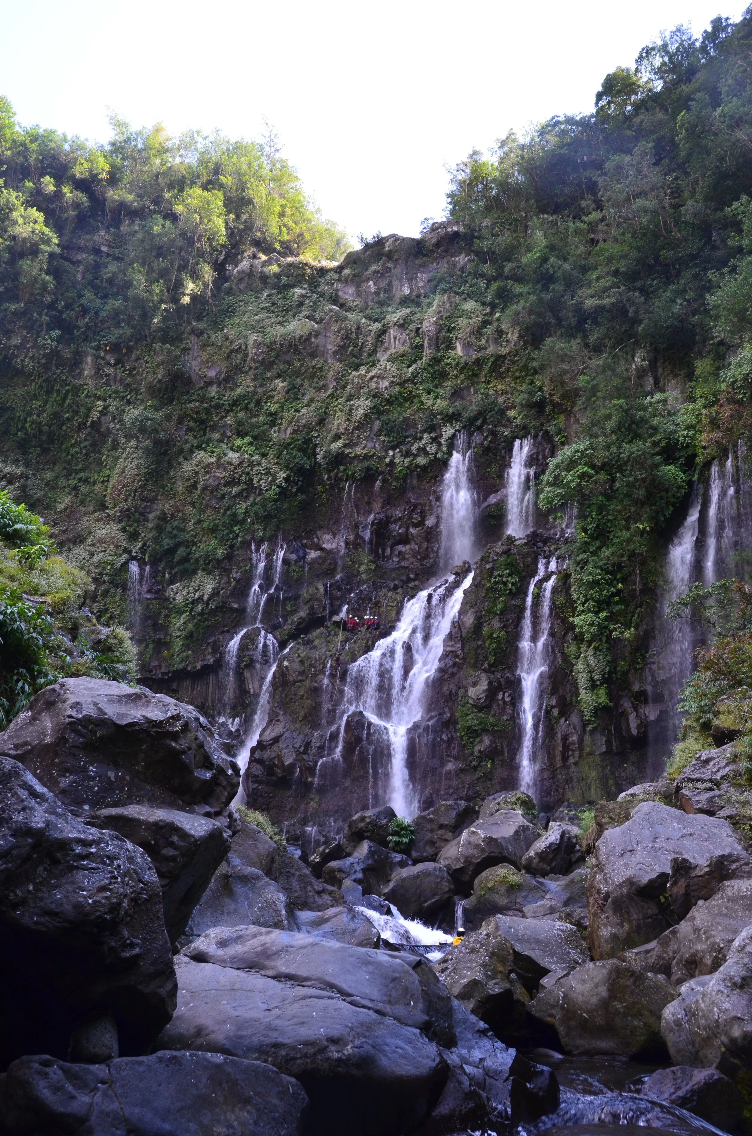 Cascade d'eau tombant d'une falaise rocheuse au milieu de la végétation dense dans une forêt tropicale.