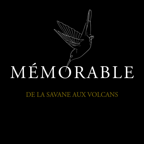 Logo avec une illustration d'un colibri stylisé et le texte 'MÉMORABLE' en blanc, et 'DE LA SAVANE AUX VOLCANS' en jaune sur fond noir.