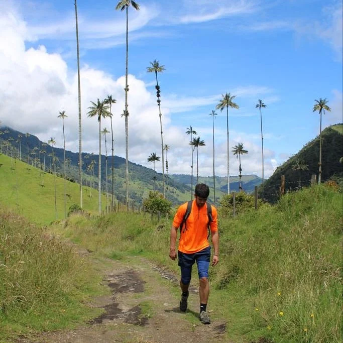 Un homme marche sur un sentier de campagne avec des collines verdoyantes et des palmiers en arrière-plan, sous un ciel partiellement nuageux.