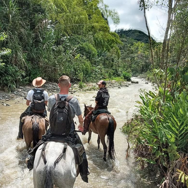 Trois personnes à cheval traversant une rivière dans une forêt verdoyante.