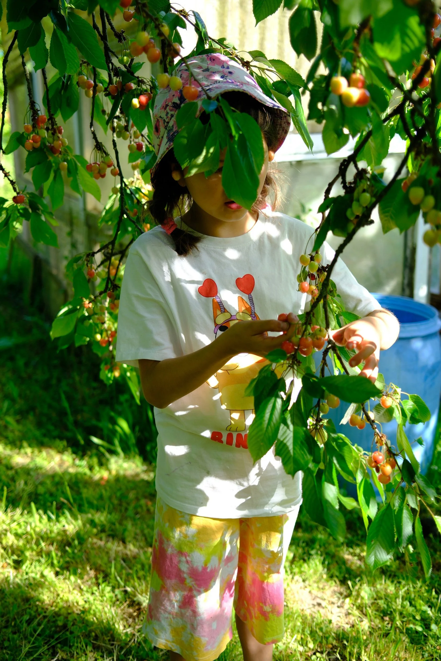 Healthy Soil, Healthy Plants, Healthy People: Why Everything Begins Beneath Our Feet