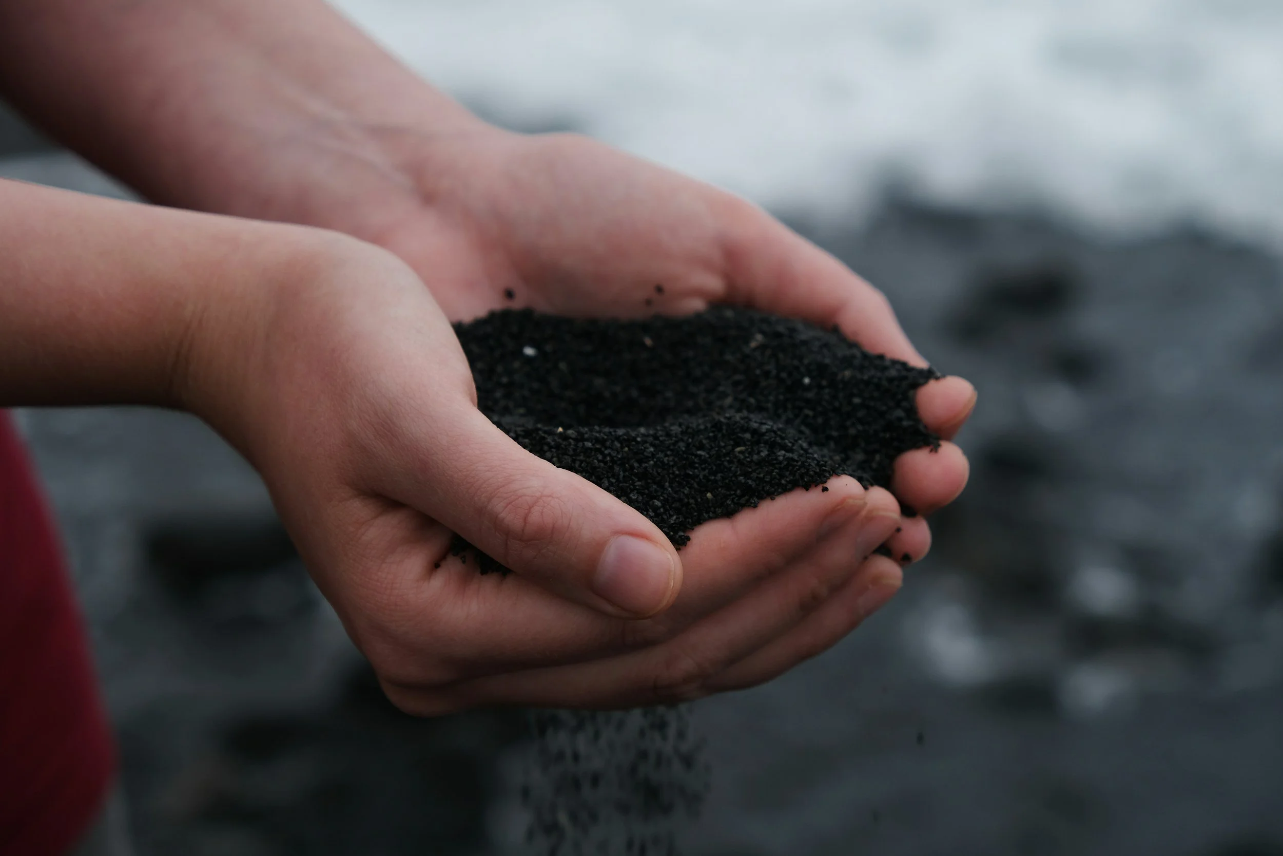 Close-up of hands holding biochar outdoors.