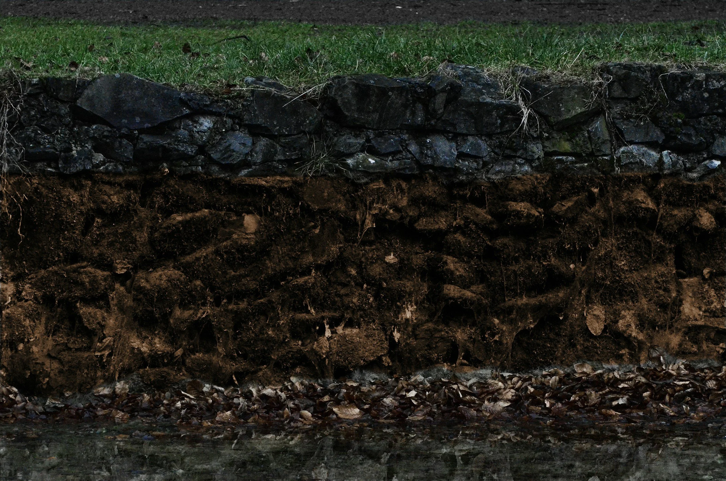 Biochar and Mycorrhizal Fungi: What Happens Beneath the Soil Surface?